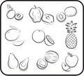 Fruits vector hand drawn